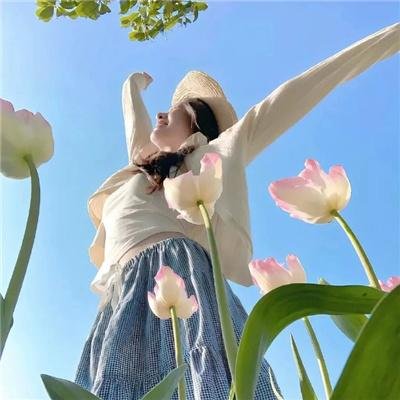 精灵宝可梦：比克提尼与黑之英雄捷克罗姆粤语